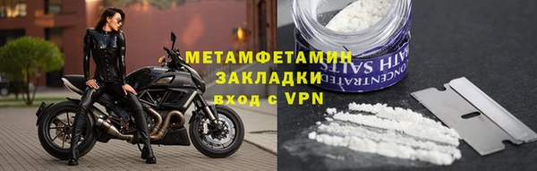трава Няндома