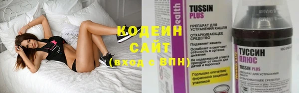 трава Няндома