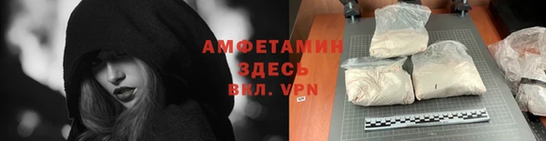 трава Няндома