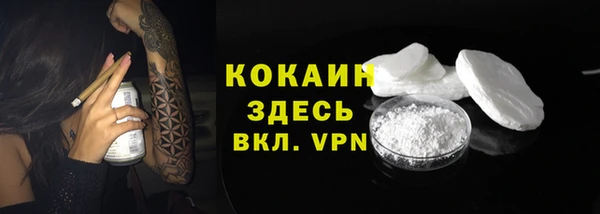 трава Няндома