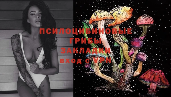 трава Няндома