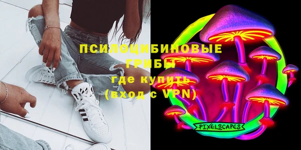трава Няндома