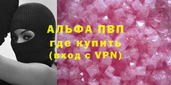 трава Няндома