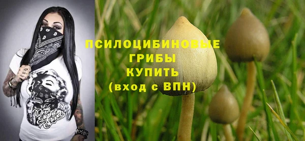 трава Няндома